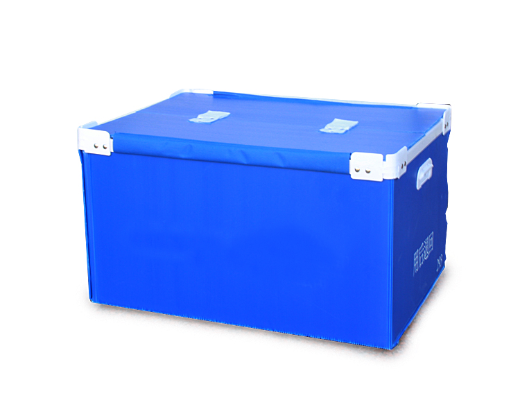 1526949837990600.jpg IMG_2235.jpg