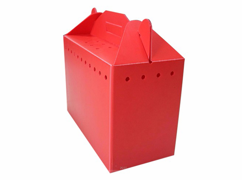 中空板周轉箱 物流包裝箱